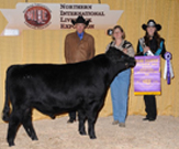 Northern International Livestock Exposition