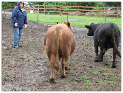 6A12 Lazy G Solid Gold Thumbnail